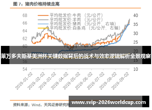 莱万多夫斯基美洲杯关键数据背后的战术与效率逻辑解析全景观察