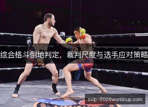 综合格斗倒地判定,裁判尺度与选手应对策略 综合格斗倒地判定,裁判尺度与选手应对策略