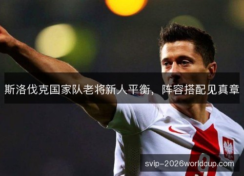 斯洛伐克国家队老将新人平衡，阵容搭配见真章